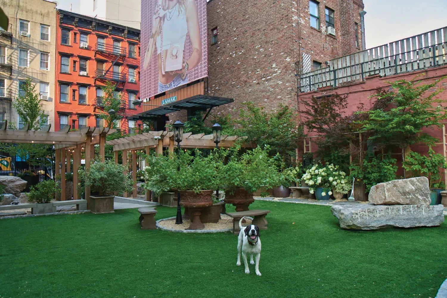 Soho Grand Hotel Dog Park