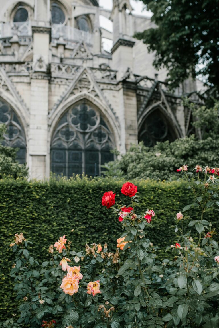 le recap, spring in paris